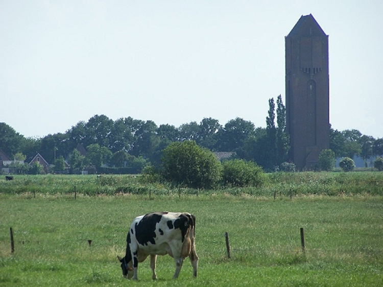 Bed and Breakfast in Watertoren Lutten