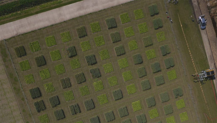 Onderzoekers Universiteit Wageningen gebruiken drones bij onderzoek plantengroei